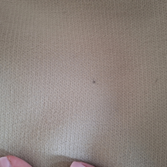 Preloved Elegant Pistaccio Coat with Faux Fur Collar - Unbranded - Picture 6 of 7